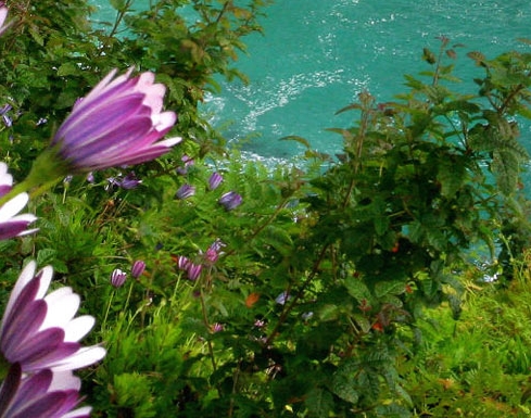 五象一站式生活购物中心