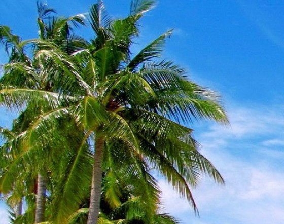 粉象生活如何设置全新账号