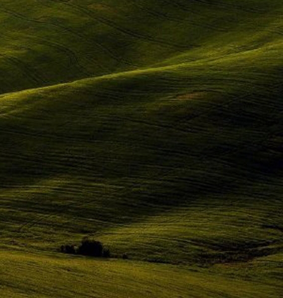 粉象生活能赚到钱吗