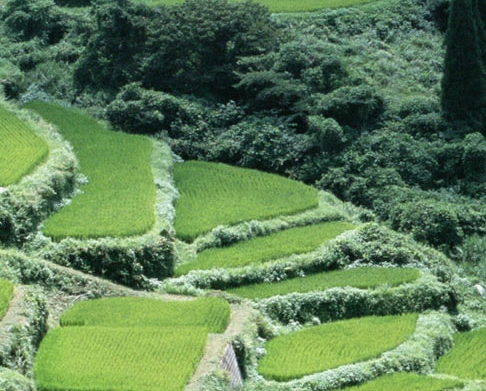 下载粉象生活app有风险吗