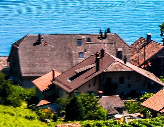 粉象生活新人福利界面