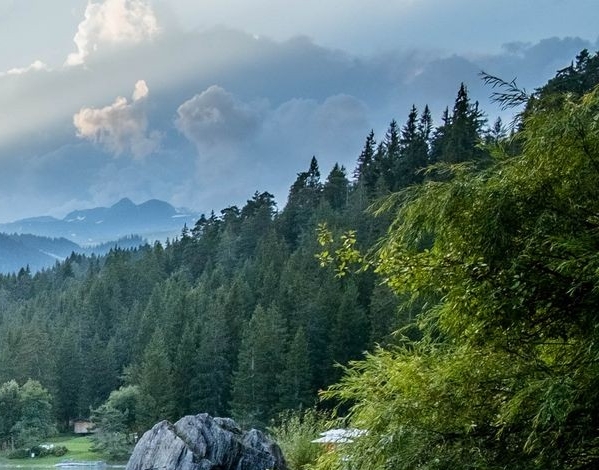 群星齐聚粉象生活