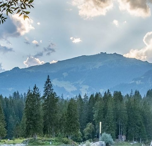 粉象生活代理注册流程