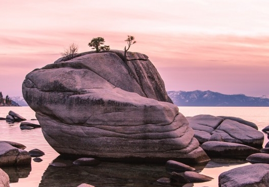 粉象生活邀请码.810560