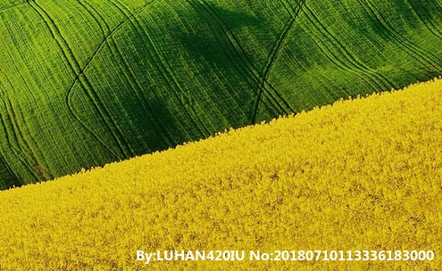 粉象生活粉丝怎么增加