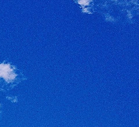 粉象生活邀请码