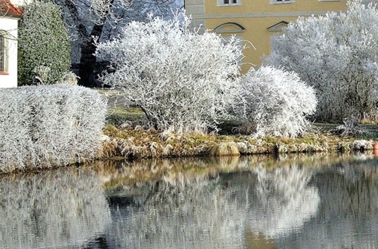 粉象生活怎么赚钱的