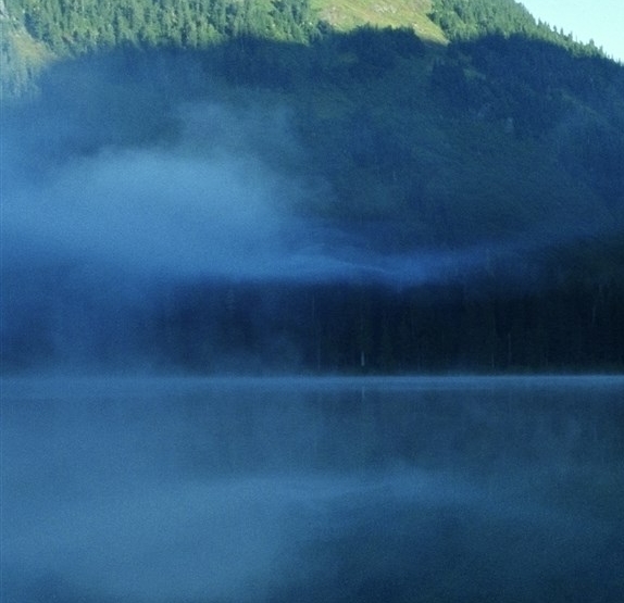 粉象生活怎么赚钱