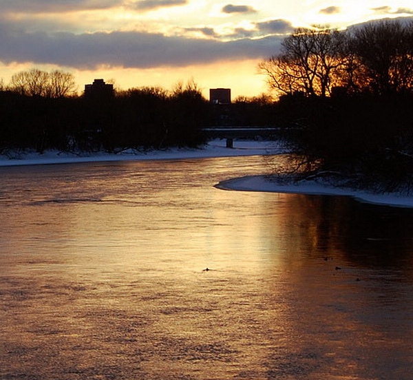 粉象生活被注销了怎么重新注册