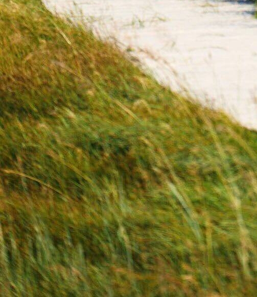 粉象生活加盟注册网站入口