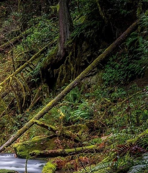 营口粉象生活代理