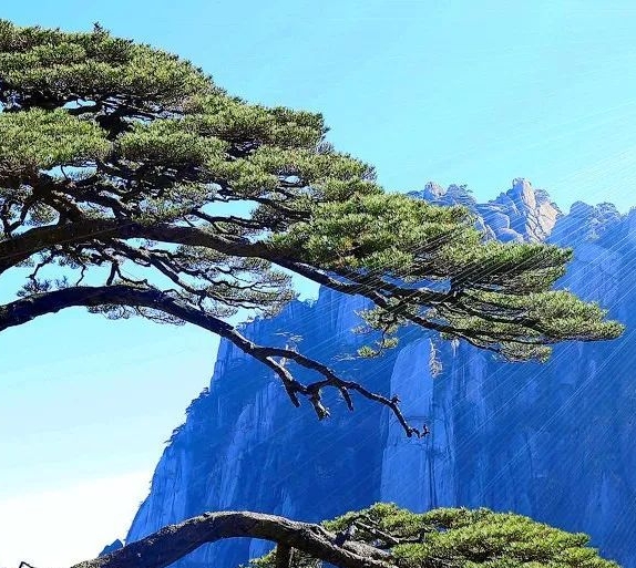 江苏高端粉象生活赚钱么