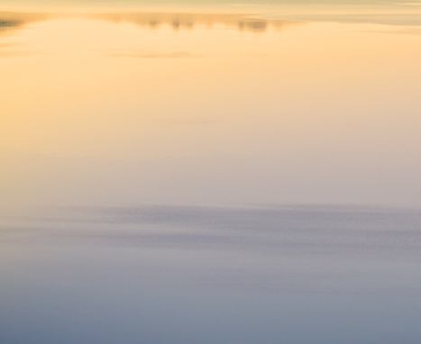 粉象生活代理费