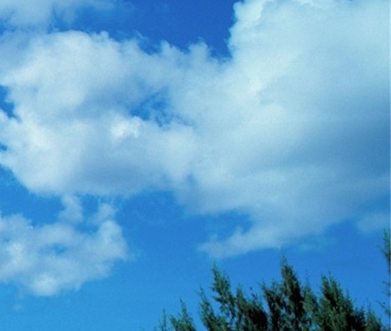 粉象生活会员怎么领取