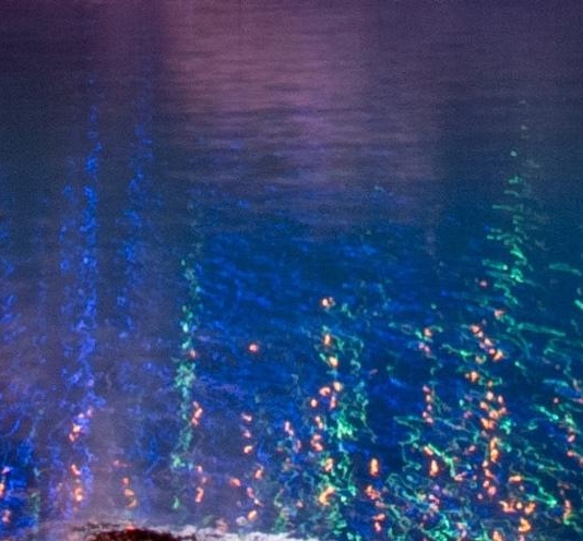 粉象邀请码怎么出来的