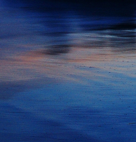 粉象生活下载app