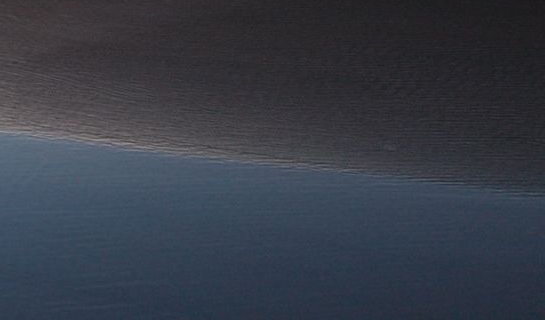 粉象生活购物平台真实吗