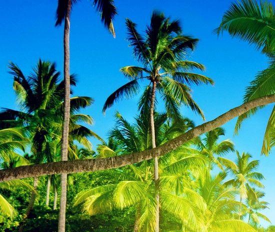 粉象生活有没有官网