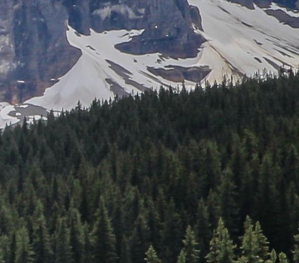 粉象生活公司背景