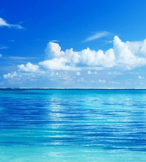 粉象生活有没有分销平台