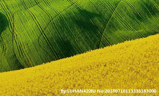 粉象生活可以设置隐私吗