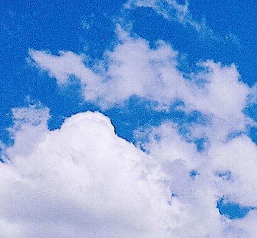 粉象生活可以赚钱吗