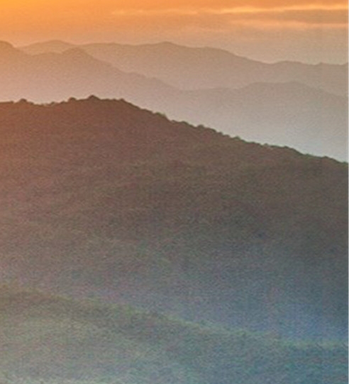 粉象生活新手怎么做