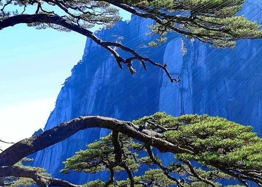 粉象生活怎么查看优惠券