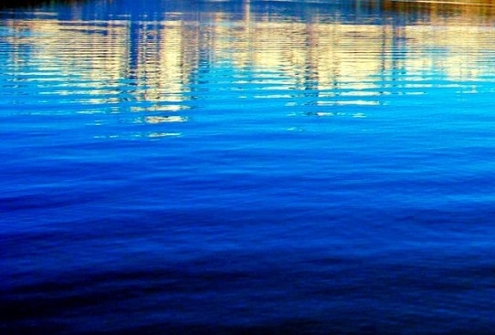 粉象生活怎么注册新号