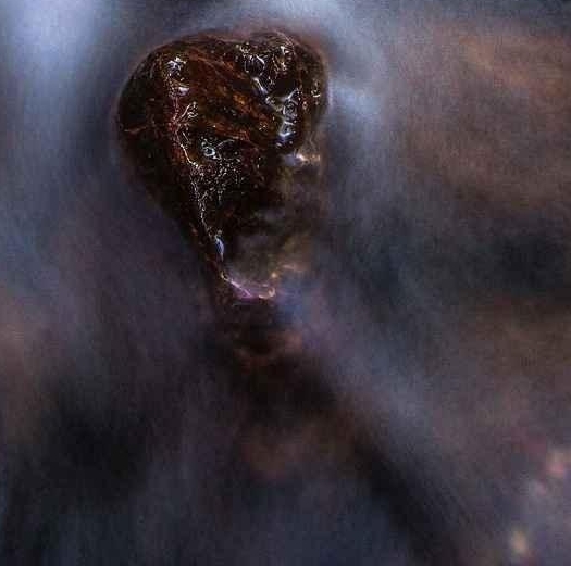 粉象生活裂变教程