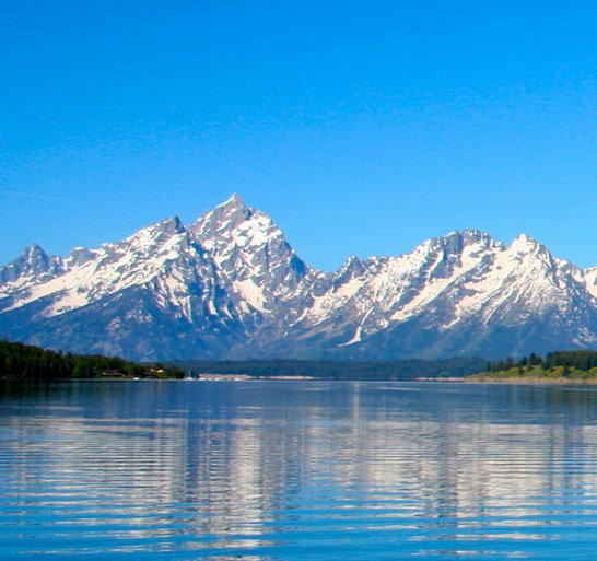 什么是粉象生活优惠券