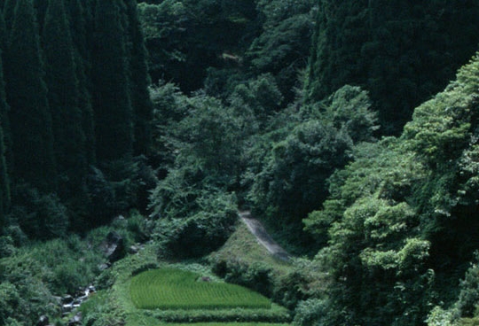 粉象生活app