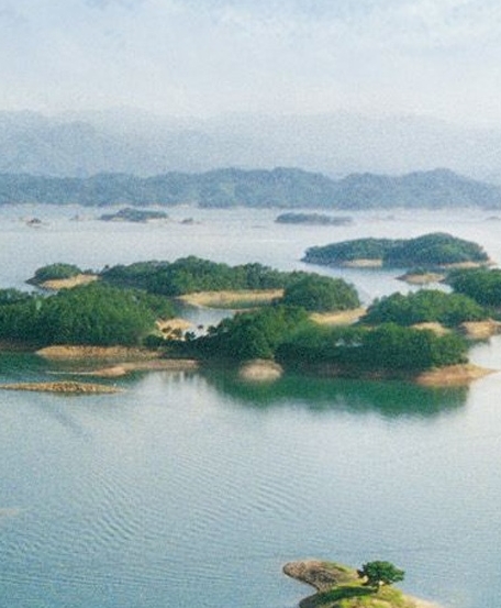 新手粉象生活怎么赚钱