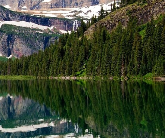 粉象生活副业可信吗