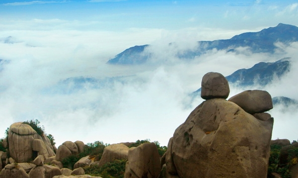 粉象生活现在有几级