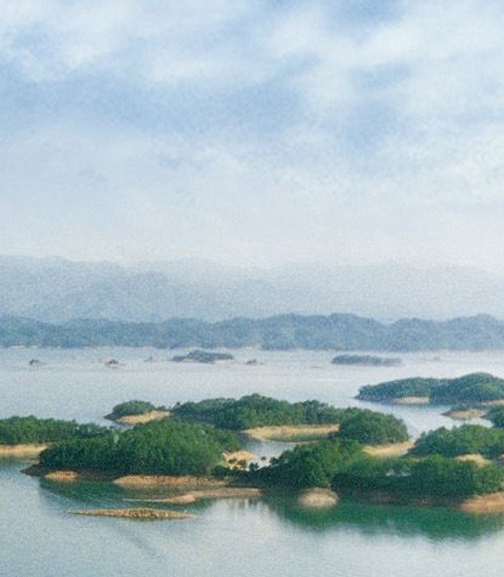 粉象生活必须要买会员吗