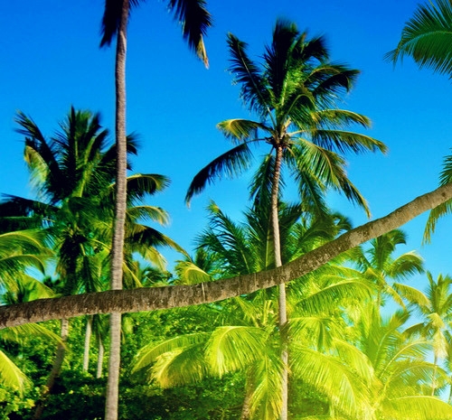 粉象生活密码登录