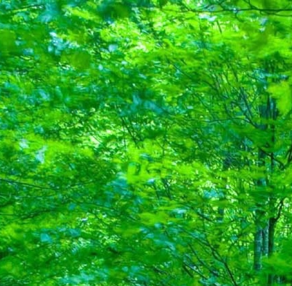 粉象生活做的东西是真的吗