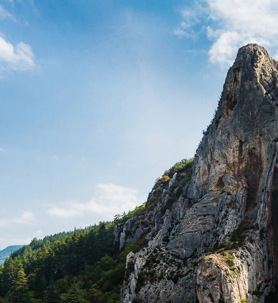 粉象生活的推广佣金是多少
