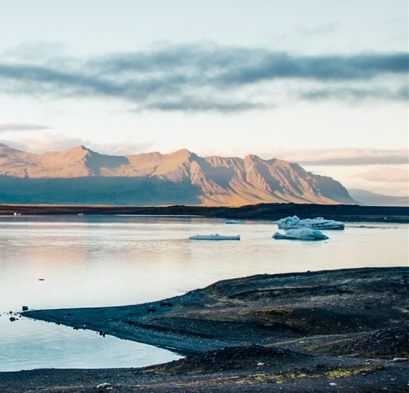 粉象优惠券官网