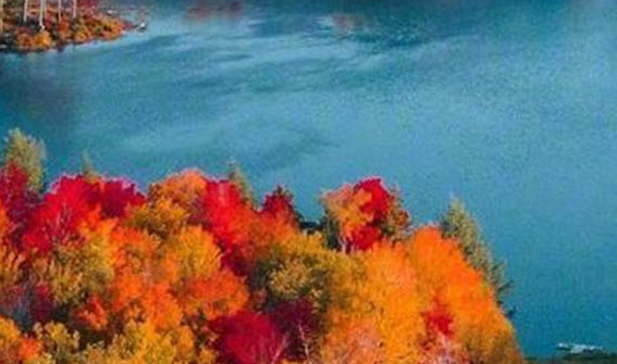 粉象生活下载app