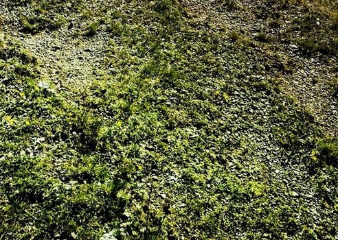 粉象生活会员卡在哪里领取