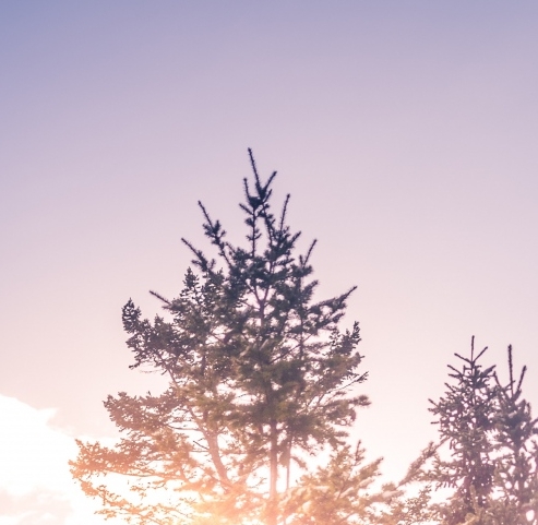 粉象生活登录忘记写邀请码了,要在哪里可以写