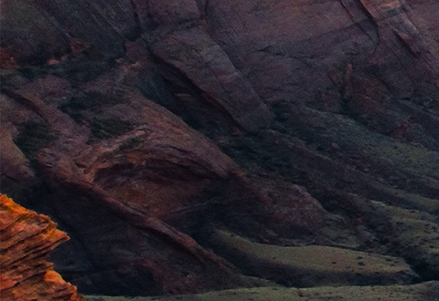 粉象生活招商推广