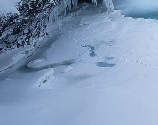粉象生活注册邀请