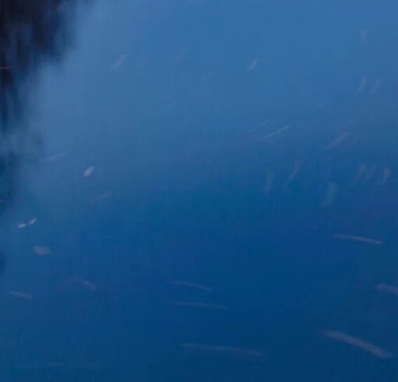 什么比粉象生活好用吗