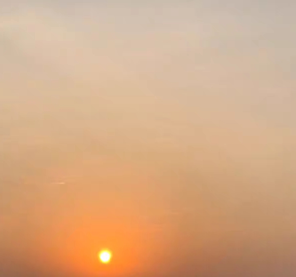 粉象生活解读视频