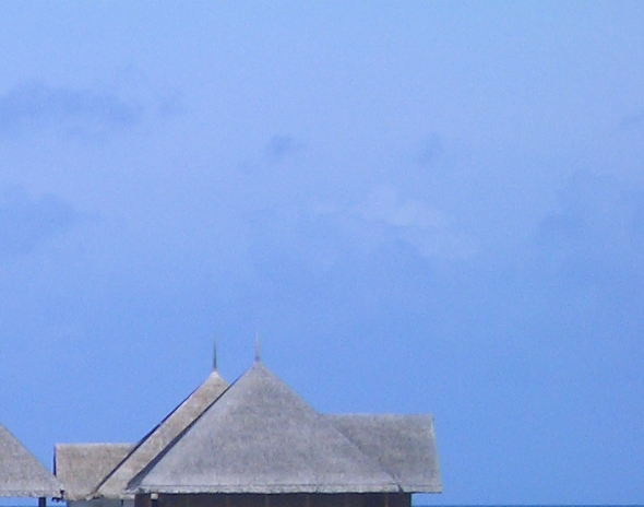 粉象生活邀请码