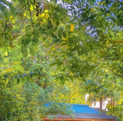 珠海粉象生活怎么样