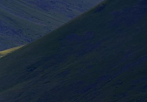 粉象生活购物中文